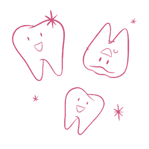 Teeth